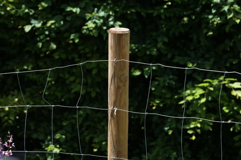 Pine Fence Installation in South Houston, TX