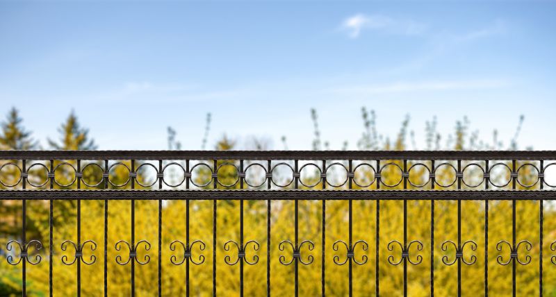 Gothic Iron Fence Installation in Alpharetta, GA