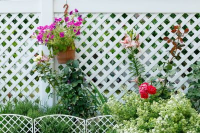 Pvc Lattice Fence Installation in St Louis, MO